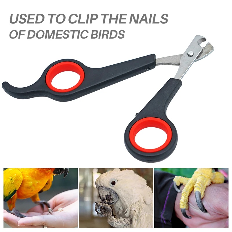 12cm Pet Parrot Nail Scissor D - огляд і ціна Grooming Scissors